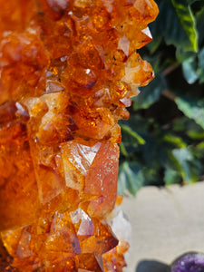 Citrine Cluster on gold Stand - Citrine Raw