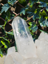 Load image into Gallery viewer, Quartz Lemurian Quartz Cluster Raw with Rainbows
