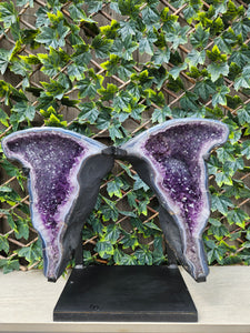 Amethyst angel wings - Statement Crystals - Butterfly wings