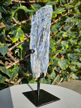 Load image into Gallery viewer, Blue Kyanite on custom made stand
