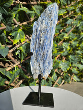 Load image into Gallery viewer, Blue Kyanite on custom made stand
