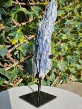 Load image into Gallery viewer, Blue Kyanite on custom made stand
