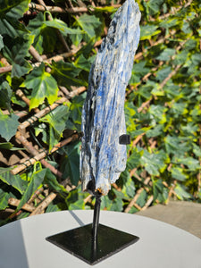 Blue Kyanite on custom made stand