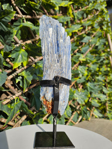 Blue Kyanite on custom made stand