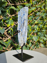 Load image into Gallery viewer, Blue Kyanite on custom made stand
