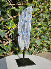 Load image into Gallery viewer, Blue Kyanite on custom made stand
