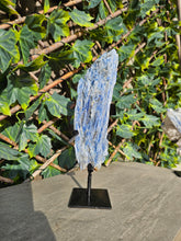 Load image into Gallery viewer, Blue Kyanite on custom made stand
