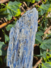 Load image into Gallery viewer, Blue Kyanite on custom made stand
