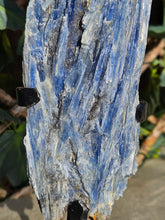 Load image into Gallery viewer, Blue Kyanite on custom made stand
